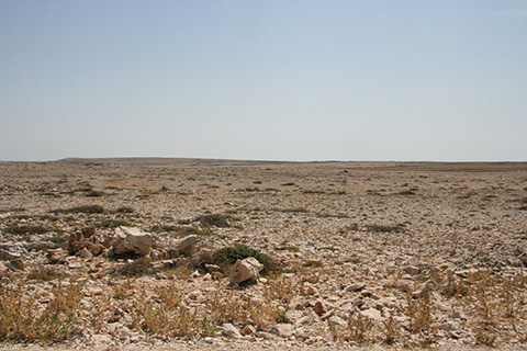 hr_landscape12